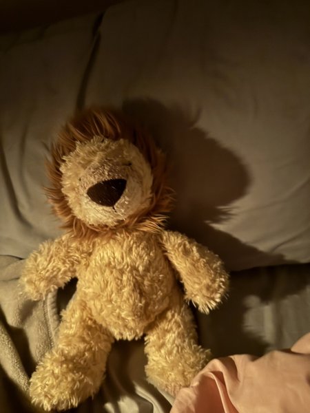 A small stuffed lion